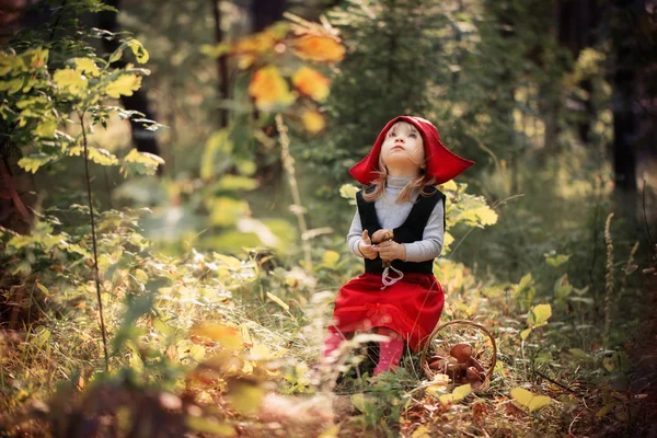 Petit chaperon rouge dans les bois — Photo