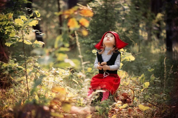 Little Red Riding Hood in the woods — Stock Photo, Image