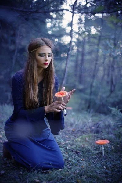 Beautiful witch holding a mushroom — Stock Photo, Image