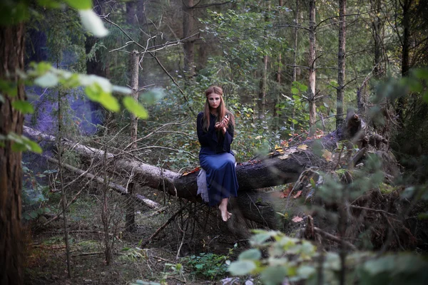 Vackra kvinnor i höst skog — Stockfoto