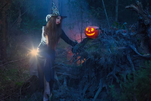 Beautiful witch with a pumpkin in the magic forest — Stock Photo, Image