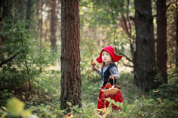 Little Red Riding Hood di hutan — Stok Foto