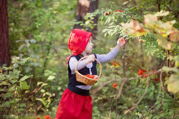 Chapeuzinho Vermelho na floresta — Fotografia de Stock