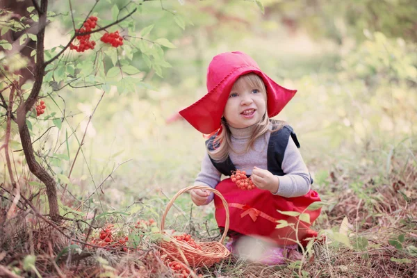 Kleine rode paardrijden kap in het bos — Stockfoto