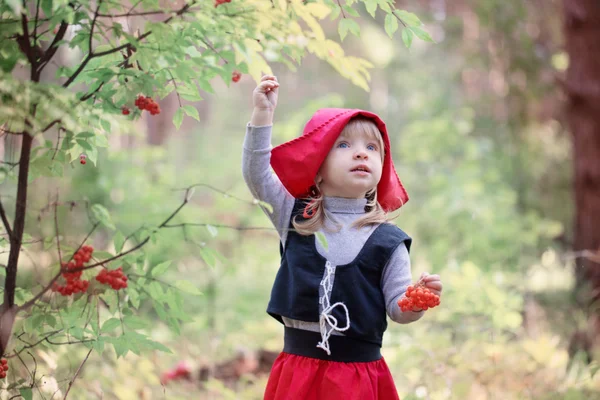 Kleine rode paardrijden kap in het bos — Stockfoto