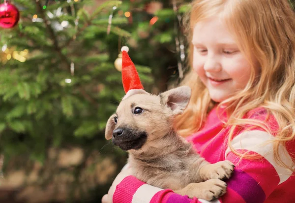 Menina com pouco cão no fundo árvore de natal — Fotografia de Stock