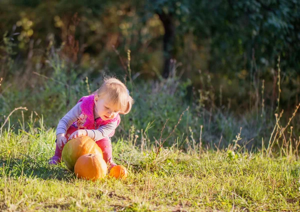 Little girl with pumpkin outdoor — Stock Photo, Image