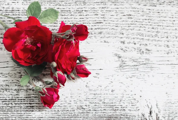 Rose su sfondo bianco in legno — Foto Stock