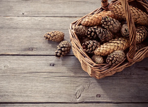 Cones em um fundo de madeira — Fotografia de Stock