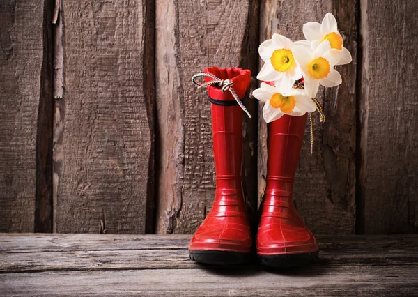 Rode kind tuin schoenen met Lentebloemen Stockafbeelding