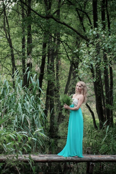 Bella ragazza sul ponte di legno sul fiume — Foto Stock