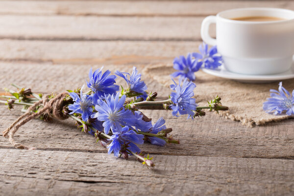 Cup of tea with chicory on wooden background