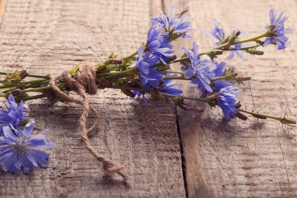 Fából készült háttér kék cikória virág — Stock Fotó