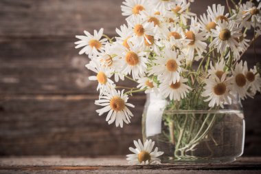 chamomiles ahşap arka plan üzerinde cam vazoda buket