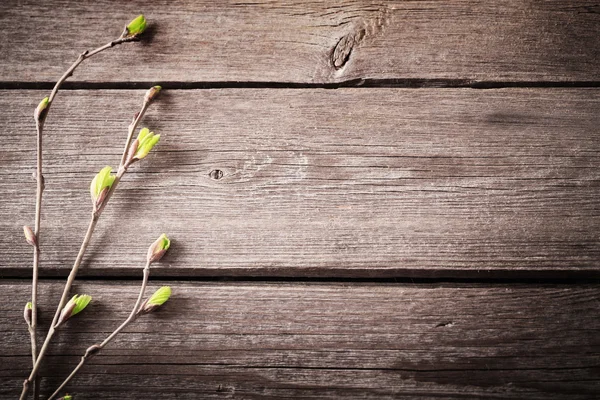 Hojas jóvenes sobre un fondo de madera —  Fotos de Stock