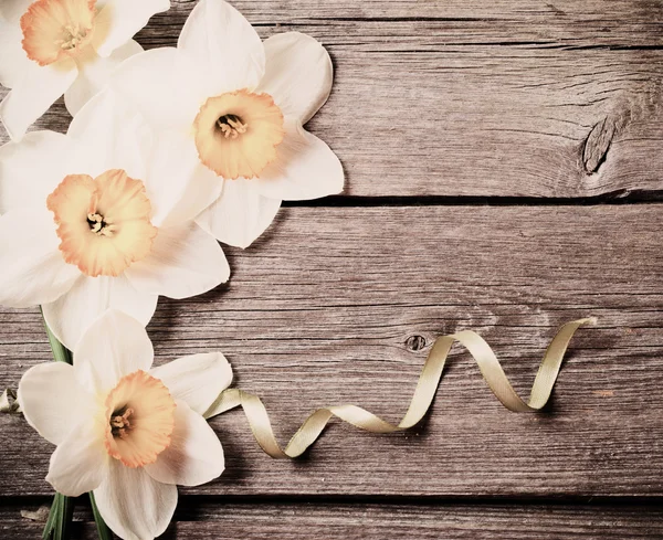 Jarní květiny na dřevěném pozadí — Stock fotografie