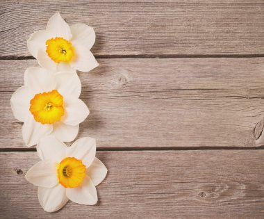 Tahta arka planda bahar çiçekleri
