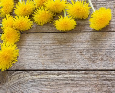 ahşap zemin üzerinde karahindiba çiçekler