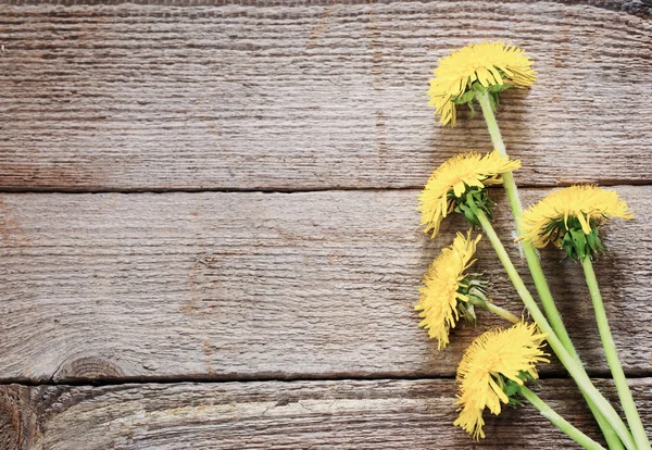 Paardebloem bloemen op de houten achtergrond — Stockfoto