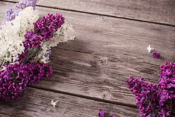 Hermosa lila sobre un fondo de madera — Foto de Stock