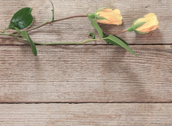 Rosas sobre fondo de madera — Foto de Stock