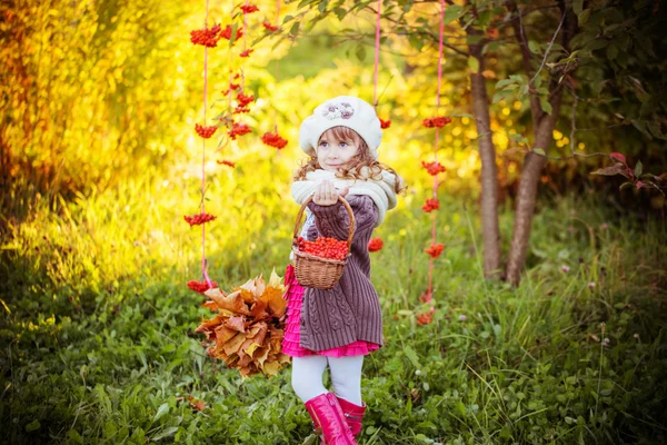 Beautiful girl with autumn park — Stock Photo, Image