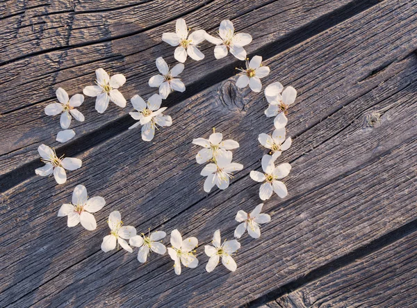 Fiori bianchi in forma di cuore — Foto Stock