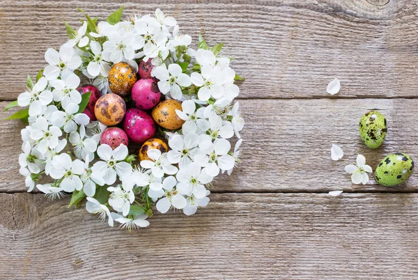 Påsk ägg i boet från vita blommor — Stockfoto