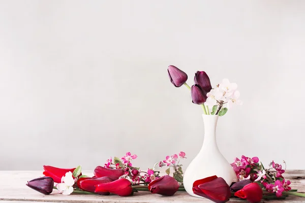 Våren blommor på vit bakgrund — Stockfoto