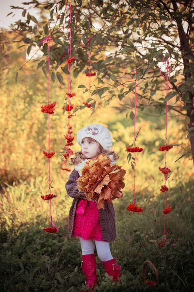 Sonbahar park ile güzel kız — Stok fotoğraf