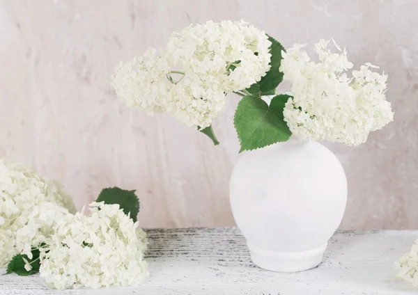 Hortensia in witte vaas op grunge achtergrond — Stockfoto