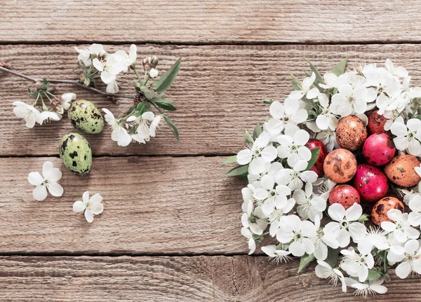 Œuf de Pâques dans le nid de fleurs blanches — Photo