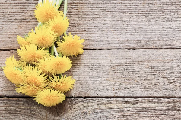 Ahşap zemin üzerinde karahindiba çiçekler — Stok fotoğraf