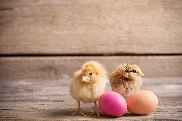 Pollo con huevos de Pascua sobre fondo de madera —  Fotos de Stock