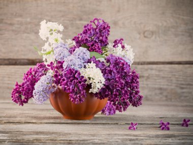 Natürmort çiçek açan bir leylak dalı ile