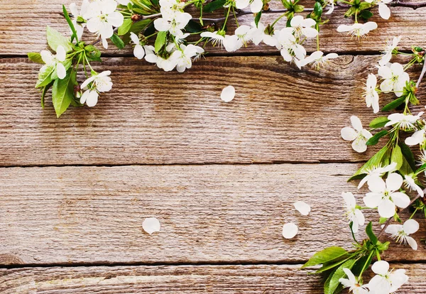 Flores sobre fondo de madera — Foto de Stock