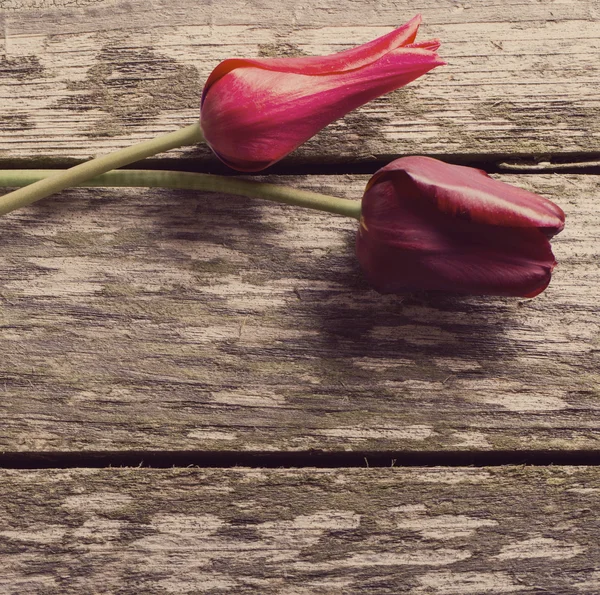 Tulips on wooden background — Stock Photo, Image