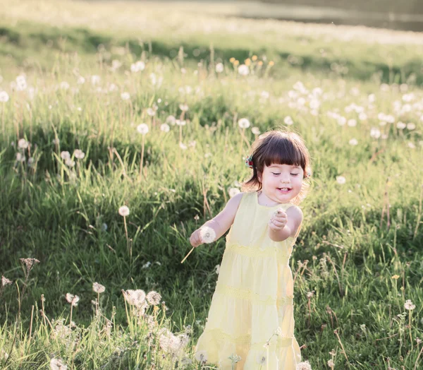 Маленька дівчинка з кульбабами — стокове фото