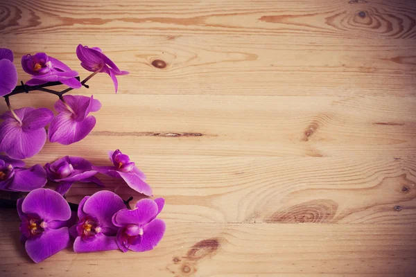 Tahta arka planda pembe orkide çiçekleri — Stok fotoğraf