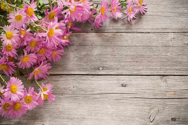 木の背景にピンクの花 — ストック写真