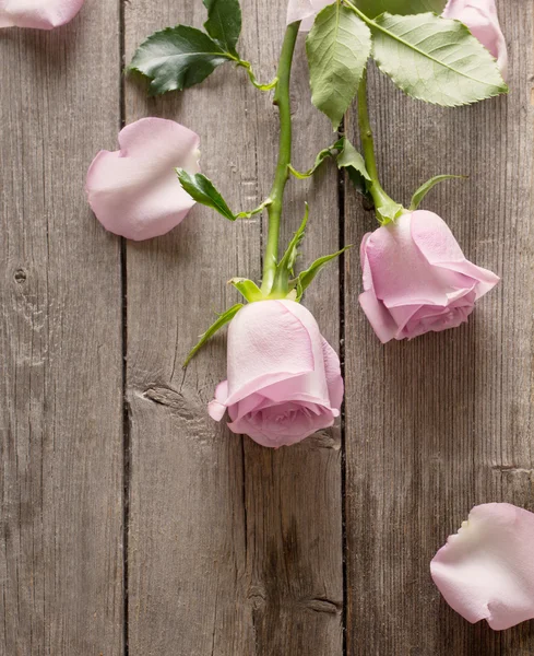 Rose on wooden background — Stock Photo, Image