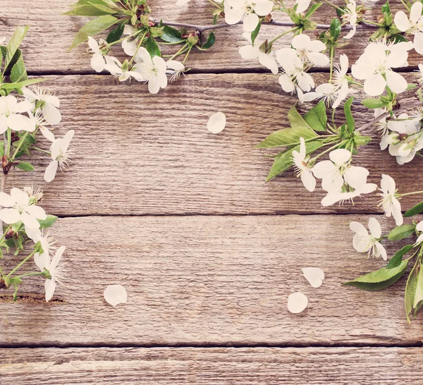 Blommor på trä bakgrund — Stockfoto