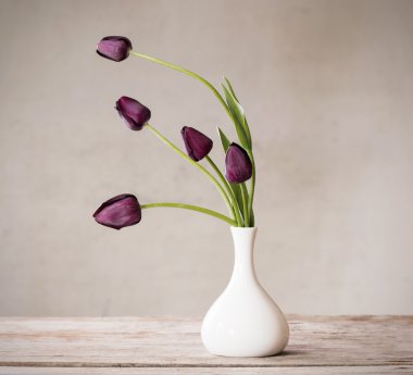 Beyaz arkaplanda çiçekler