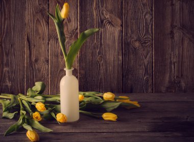 Lale ahşap arka plan üzerinde