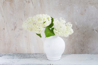 Ortanca grunge arka plan üzerinde beyaz cam aranjman