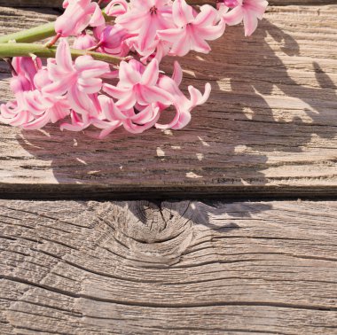 Tahta arka planda güzel bahar çiçekleri