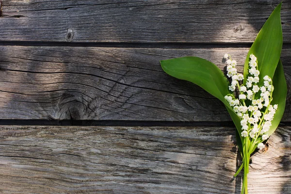 May-lily em fundo de madeira — Fotografia de Stock