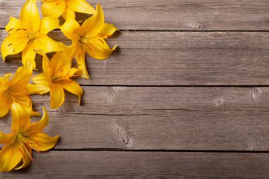 ahşap zemin üzerinde turuncu lily