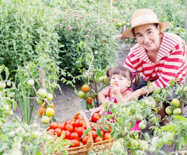 baby and grandmother in garden with tomatoes clipart