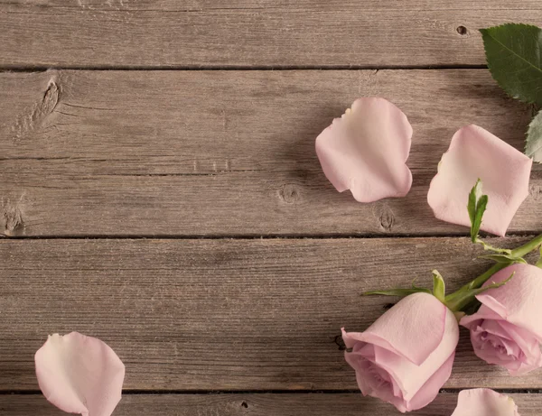 Rose op houten achtergrond — Stockfoto